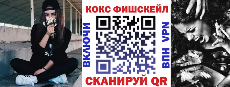 COCAIN Fish Scale  Купить где  Шали 