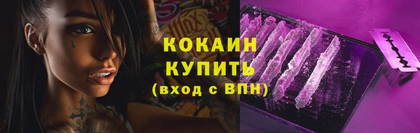винт Лагань