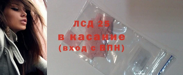 винт Лагань