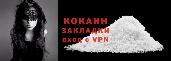 винт Лагань