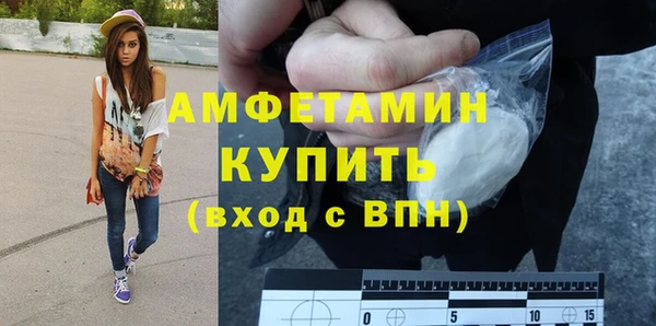 винт Лагань