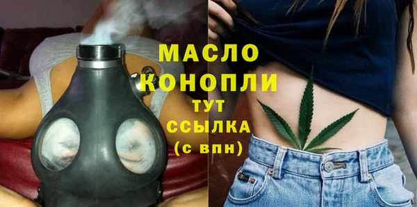 винт Лагань