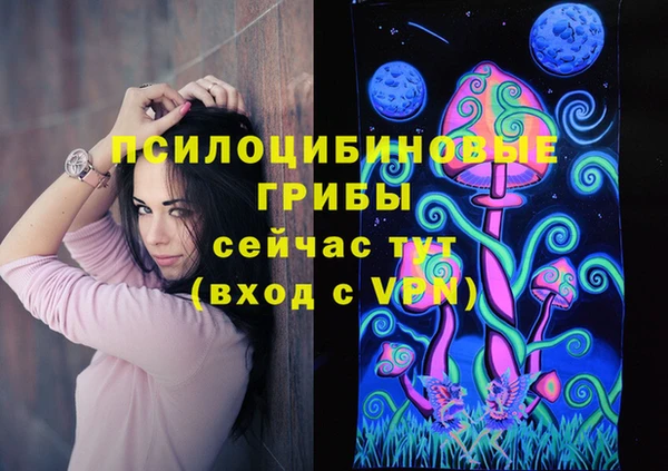 винт Лагань