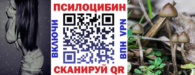 Купить Шали Псилоцибиновые грибы Psilocybine cubensis